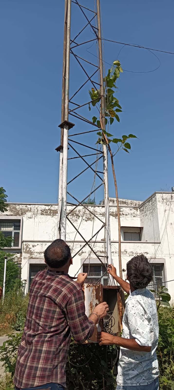 PunjabKesari